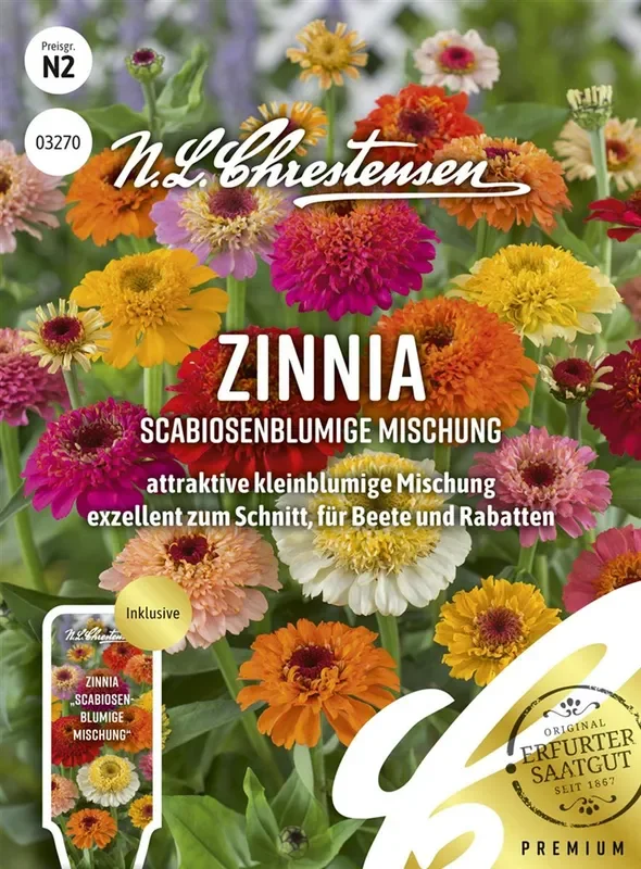 Zinniensamen