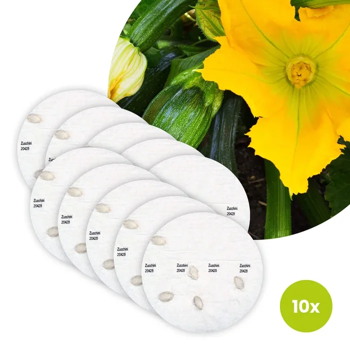 Zucchini Bio-Gemüse – 10 Saatscheiben