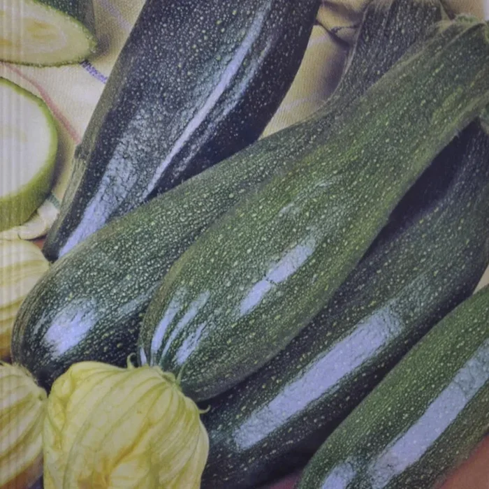 Zucchini