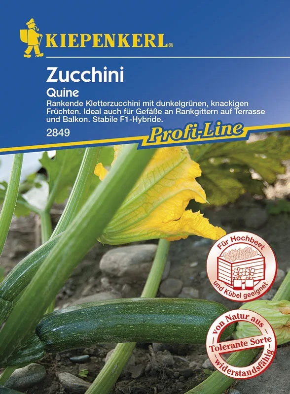 Zucchini Quine F1