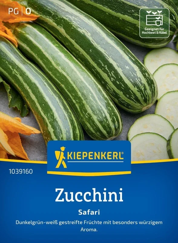 Zucchini Safari, F1, Dunkelgrün-weiß gestreifte Früchte – Hochbeet und Kübel – robuste Sorte
