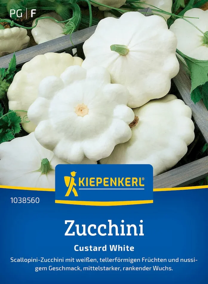 Zucchinisamen Custard White