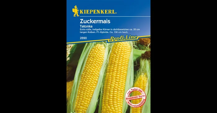 Zuckermais ‚Tatonka F1‘