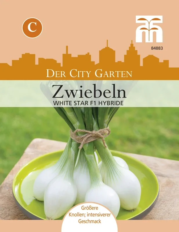 Zwiebel White Star